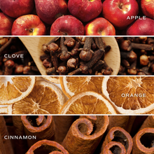 Load image into Gallery viewer, Sweet Water Decor - *NEW* Farmhouse Reed Diffuser - Fall Decor & Gifts