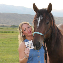 Load image into Gallery viewer, K'lani hair tie bracelets - "Gallop" Horse &amp; Bit Equestrian Accents in Rich Brown &amp; Blue Hair Tie Bracelets
