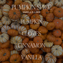Load image into Gallery viewer, Sweet Water Decor - Pumpkin Spice 15 oz Soy Candle, Matte Jar - Fall Decor
